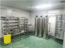 楚天�U�技-2吨纯化水讑֤�